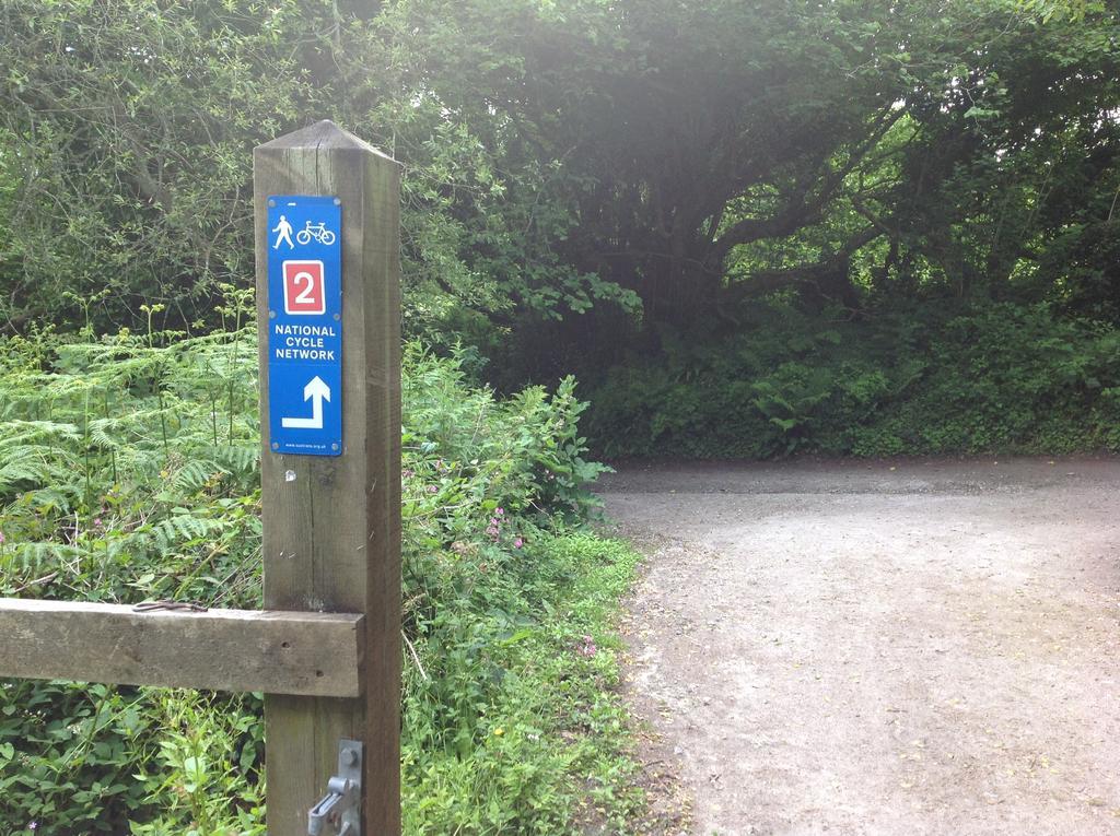 Eden'S Yard Backpackers Pansiyon St Austell Dış mekan fotoğraf