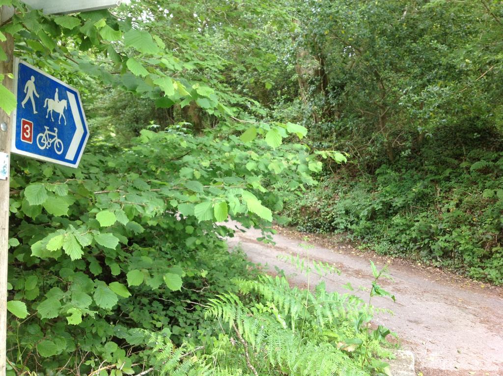 Eden'S Yard Backpackers Pansiyon St Austell Dış mekan fotoğraf