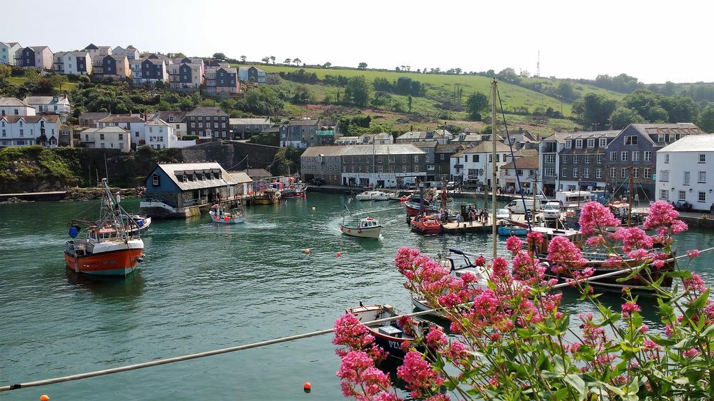 Eden'S Yard Backpackers Pansiyon St Austell Dış mekan fotoğraf
